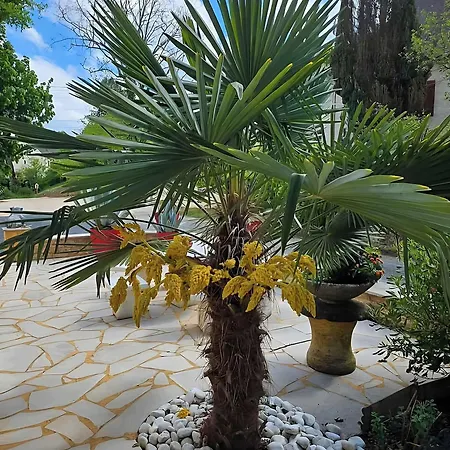 La Bayardine Pensión 4*